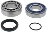 ALL BALLS - 14-1080 - Chaincase Bearing and Seal Kit