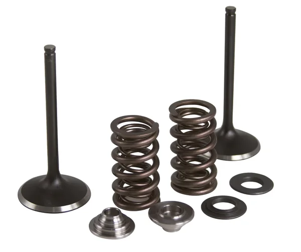 KPMI - 80-82350 - Intake Valve Spring Kit