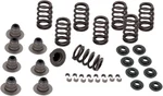 ROCKET PERFORMANCE GARAGE LLC - 4-4103 - Spring Kit