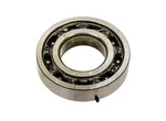 SP1 - UB-09021 - Crankshaft Bearing