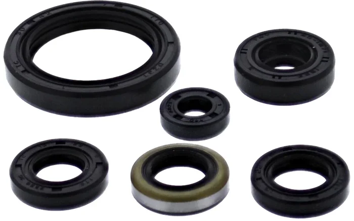 VERTEX - 822379 - Oil Seal Set