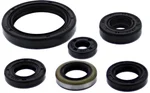 VERTEX - 822379 - Oil Seal Set