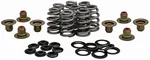 KPMI - 20-21850 - Valve Spring Kit