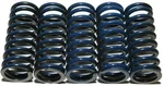 Hinson CS294-5-0109 Clutch Springs - High-Performance Motorcycle Clutch Kit