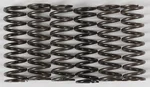 Hinson Clutch Springs CS216-6-0315 - High-Performance Clutch Springs for Powersports Vehicles