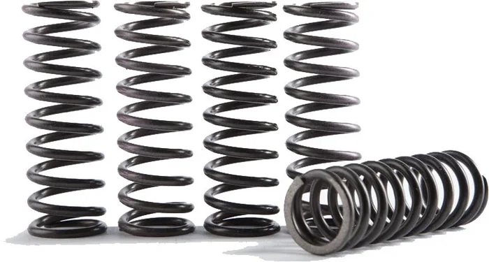 Hinson Clutch Springs CS373-1-0116 - High-Performance Clutch Springs for Powersports Vehicles