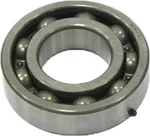 SP1 - SM-09248 - Crankshaft Bearing