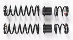 ZBROZ - K101-KHAOS-S36-STD - Dual Rate Spring Kit