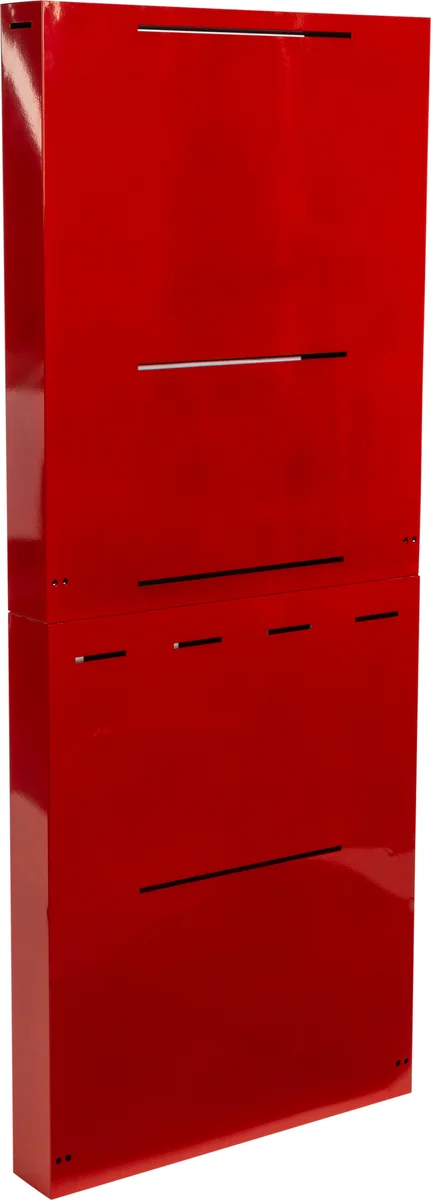 FLY RACING - RED GOGGLE DISP - Goggle Display