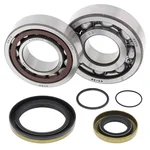 ALL BALLS - 24-1115 - Crankshaft Bearing & Seal Kit