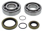 ALL BALLS - 24-1118 - Crankshaft Bearing & Seal Kit