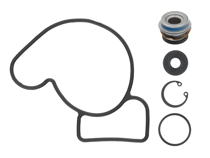 SP1 - 10-721320 - Water Pump Repair Kit