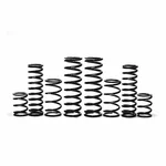 ZBROZ - K30-CA14-72 - Dual Rate Spring Kit