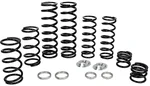 ZBROZ - K25-PL1006-0 - Dual Rate Spring Kit