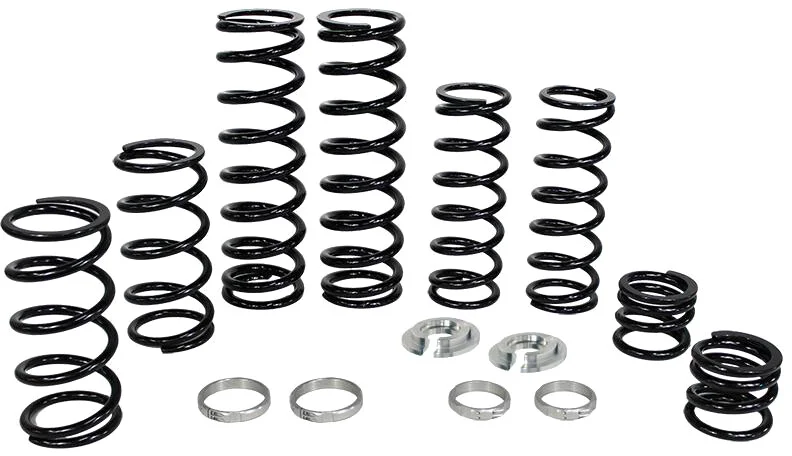 ZBROZ - K25-PL1006-0 - Dual Rate Spring Kit