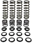 ZBROZ - K25-PL1007-0 - Dual Rate Spring Kit