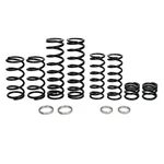 ZBROZ - K25-PL1031-0 - Dual Rate Spring Kit