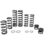 ZBROZ - K25-PL1033-0 - Dual Rate Spring Kit