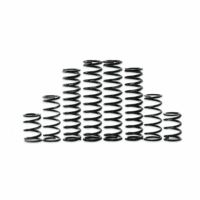 ZBROZ - K30-KA1001-0 - Dual Rate Spring Kit