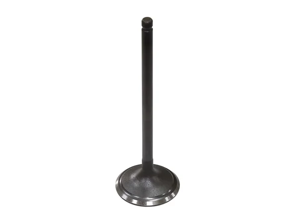 BRONCO - AU-09220I - Intake Valve