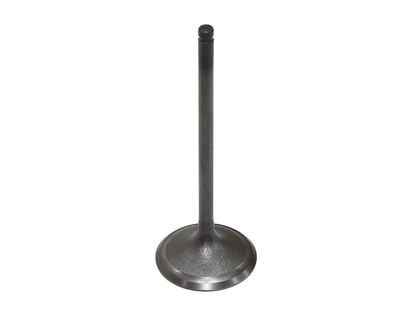 BRONCO - AU-09221I - Intake Valve