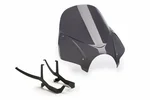 PUIG - 20527F - Naked New Gen Windscreen