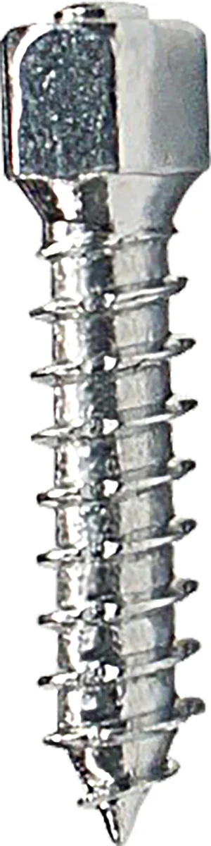 WOODYS Attack Twist Screws for Tracks - Durable, High-Performance Fasteners