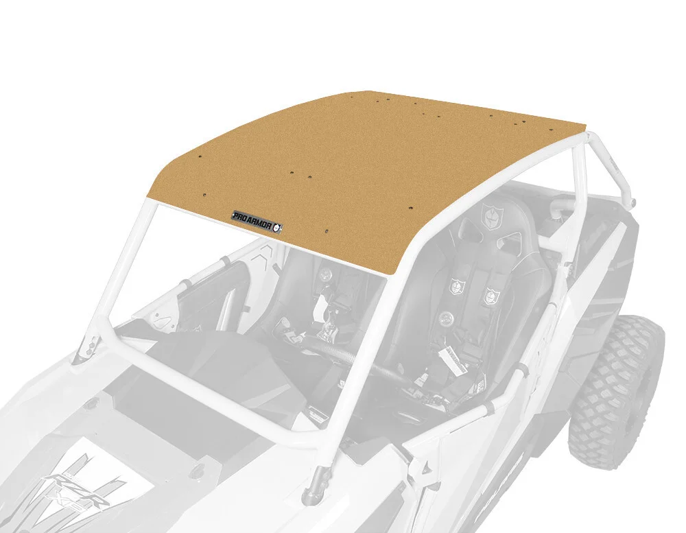 PRO ARMOR Asylum Roof P141295GM - Durable UTV Cab Roof with Enhanced Protection