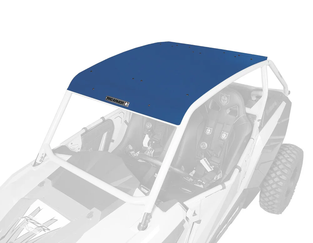 PRO ARMOR Asylum Roof P141295PB - Durable UTV Cab Roof with Enhanced Protection