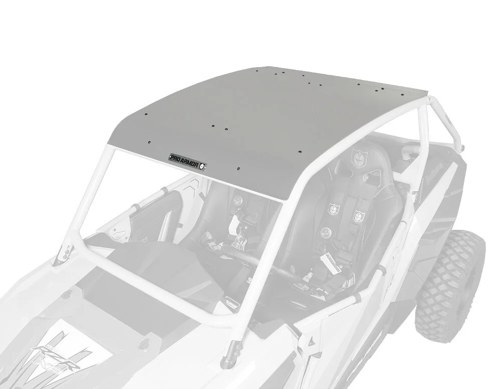 PRO ARMOR Asylum Roof P141295TM - Durable UTV Cab Roof with Enhanced Protection