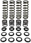 ZBROZ - K25-PL1008-0 - Dual Rate Spring Kit