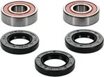 PIVOT WORKS - 25-1035-P - Premium Wheel Bearing Kit