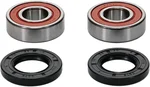 PIVOT WORKS - 25-1108-P - Premium Wheel Bearing Kit