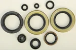VERTEX Oil Seal Kit - High-Performance Gasket Set for Powersports Vehicles
