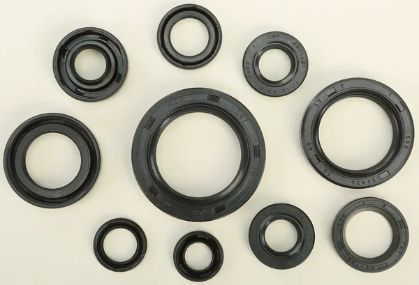 VERTEX 822107 Oil Seal Kit - Durable Gasket Set for Powersports Vehicles