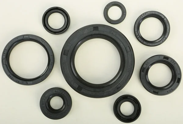 VERTEX Oil Seal Kit - Durable Gasket Set for Powersports Engines | High-Quality Replacement