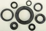 VERTEX Oil Seal Kit - Durable Gasket Set for Powersports Engines | High-Quality Replacement
