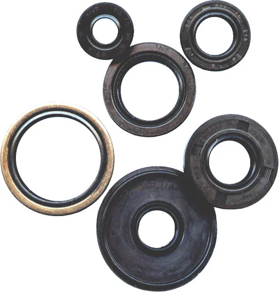 Vertex 822111 Oil Seal Kit - Premium Gasket/Seal Kit for Powersports Equipment