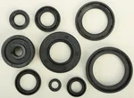 VERTEX Oil Seal Kit - Durable Gasket Set for Powersports Engines