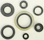 VERTEX Oil Seal Kit - High-Quality Gasket for Powersports Equipment