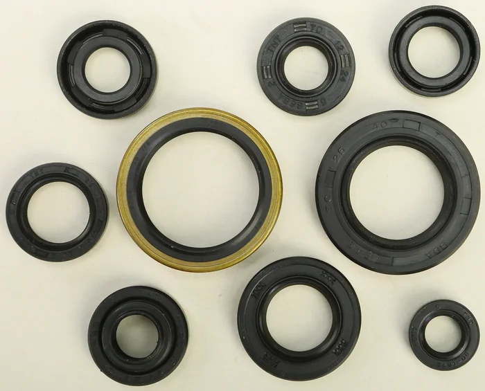 VERTEX Oil Seal Kit - High-Quality Gaskets/Seals for Powersports Equipment