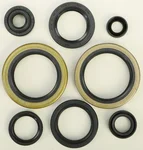 VERTEX Oil Seal Kit - Durable Gasket Set for High-Performance Engines