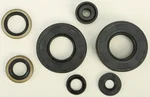 VERTEX Oil Seal Kit - High-Quality Gasket Replacement for Powersports Equipment