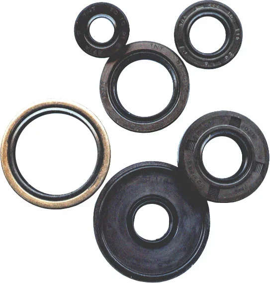 Vertex 822159 Oil Seal Kit - Premium Gasket Set for Powersports Equipment