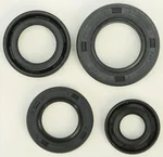 VERTEX Oil Seal Kit - Durable Gasket Set for Powersports Engines