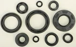 VERTEX Oil Seal Kit - High-Quality Gasket/Seal Replacement for Powersports Equipment