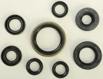 Vertex 822175 Oil Seal Kit - Durable Gasket Seal Kit for Marine & ATV Engines