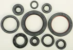 VERTEX 822178 Oil Seal Kit - High-Quality Gasket Seal for Powersports Engines