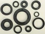 Vertex 822182 Oil Seal Kit - High-Quality Gaskets/Seals for Powersports Equipment