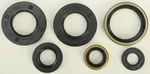 VERTEX Oil Seal Kit - Durable Gasket Set for Powersports Equipment